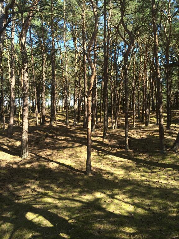 Hotel- & Ferienanlage Kapitaens-Haeuser Breege Luaran gambar